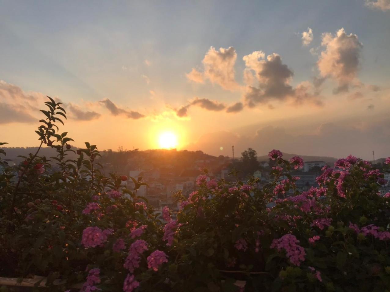 فندق إيه إتش إيه ها كوا دا لات دالات الغرفة الصورة